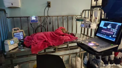 UCI Veterinaria 24/7 RCPet