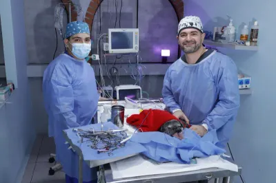 Equipo médico especializado RCPet