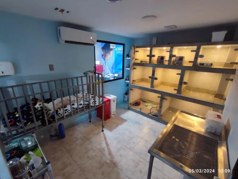 Instalaciones Clínica Veterinaria RCPet